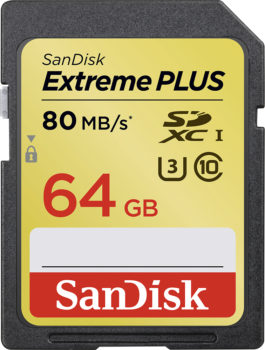 sandisk schoolyardstyle