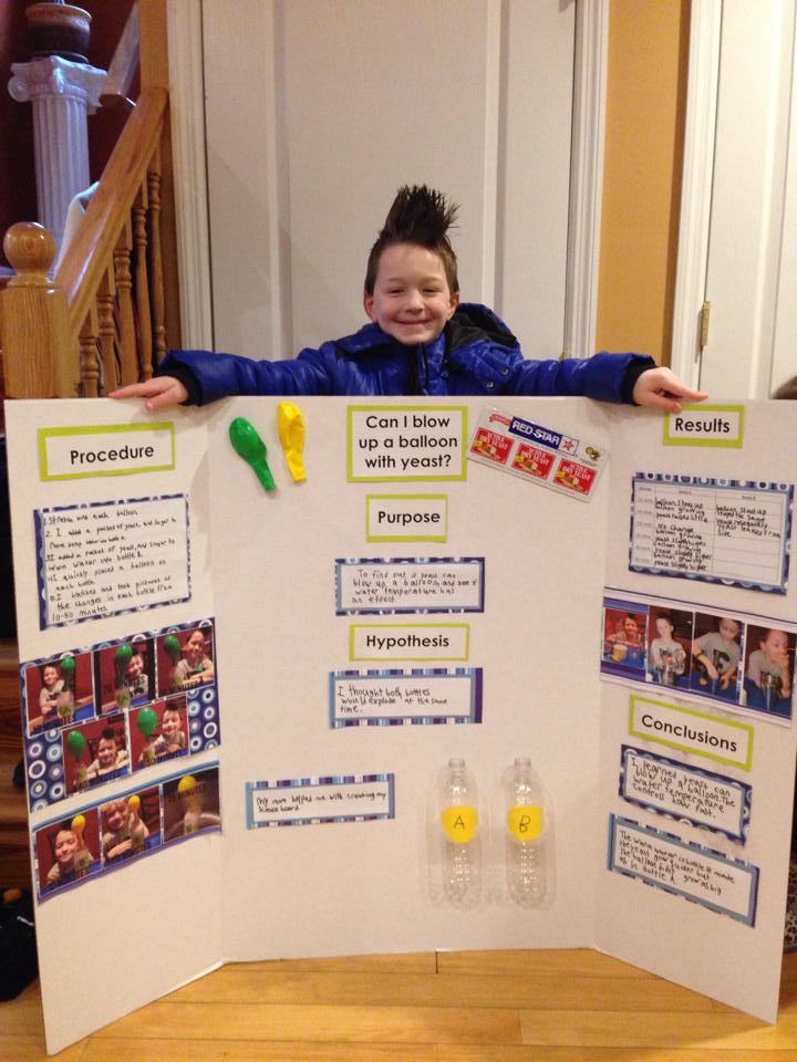 jd science project