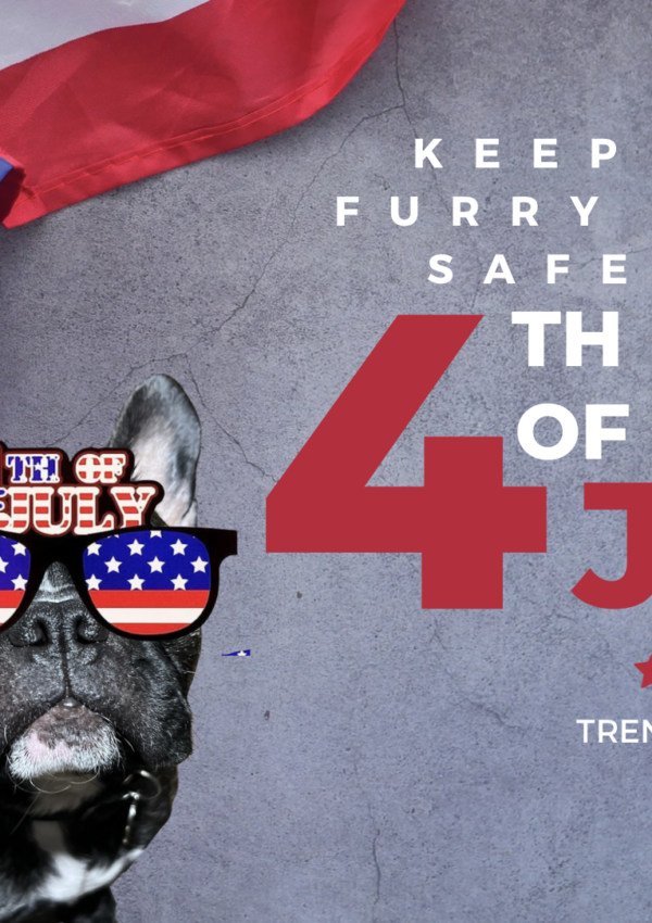 Keep Your Furry Friend Safe this Fourth of July