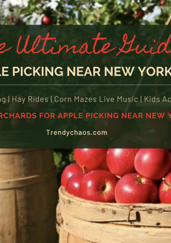 The Ultimate Guide to Apple Picking Near New York City